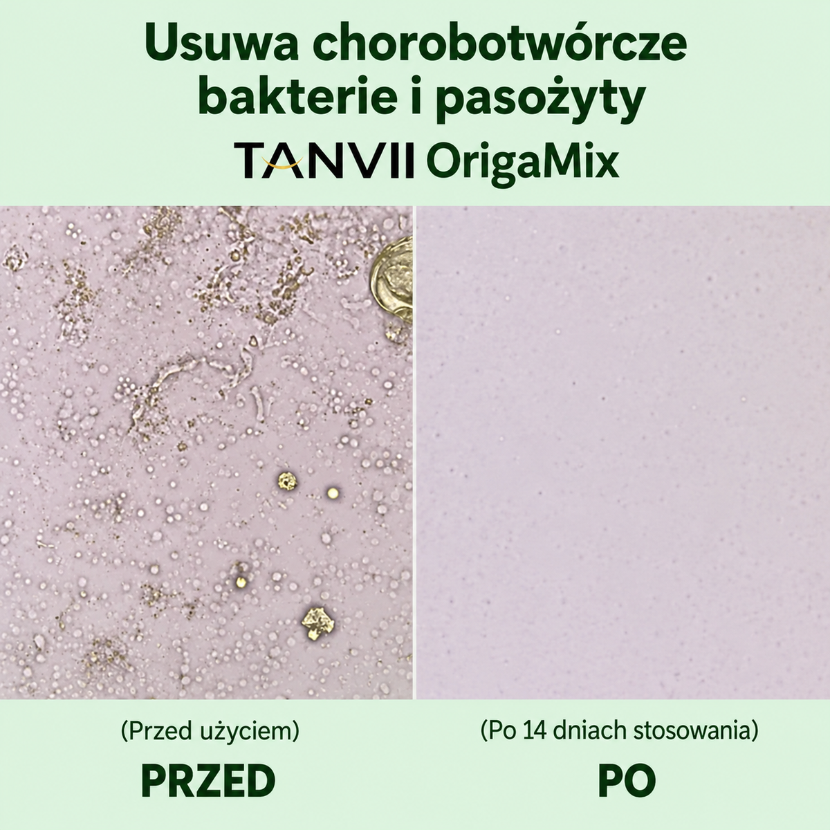 OrigaMix: naturalne oczyszczanie jelit