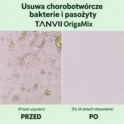 OrigaMix: naturalne oczyszczanie jelit