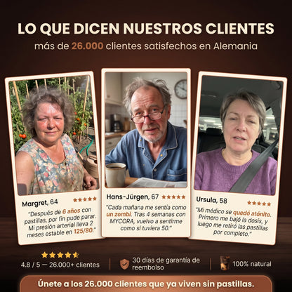 TANVII™ Café de Hongos | para una buena tensión arterial