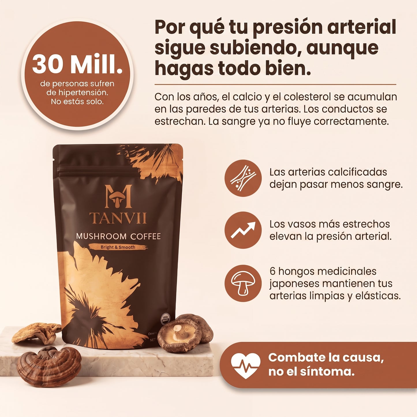 TANVII™ Café de Hongos | para una buena tensión arterial