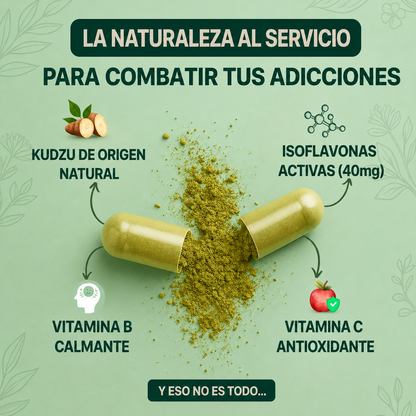 Kudzu Tanvii 40 mg de isoflavonas - 100% natural