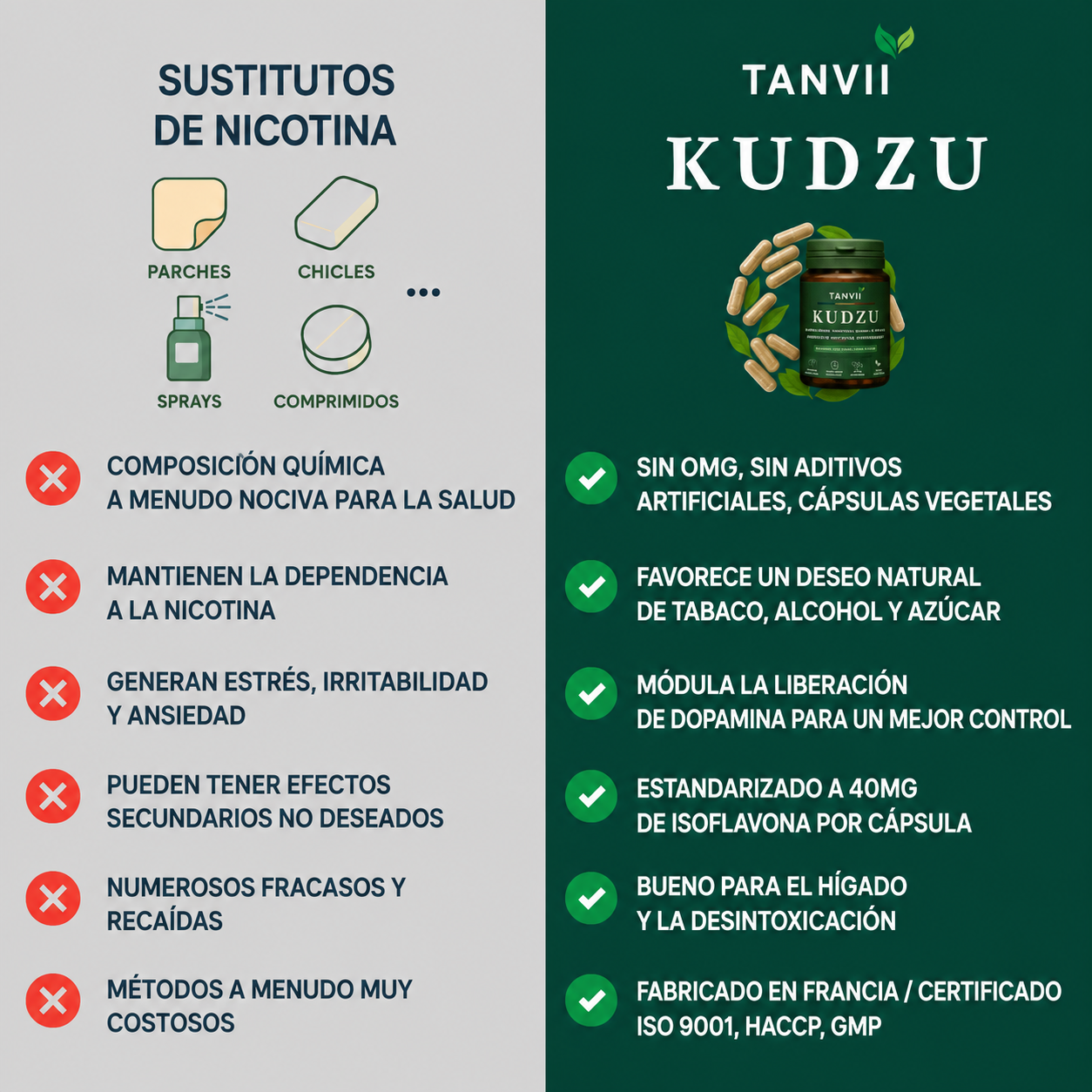 Kudzu Tanvii 40 mg de isoflavonas - 100% natural