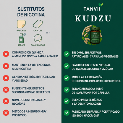 Kudzu Tanvii 40 mg de isoflavonas - 100% natural